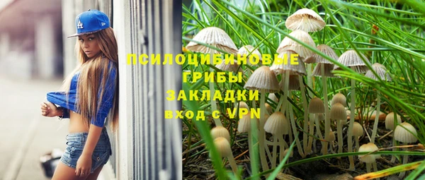 мет Вяземский