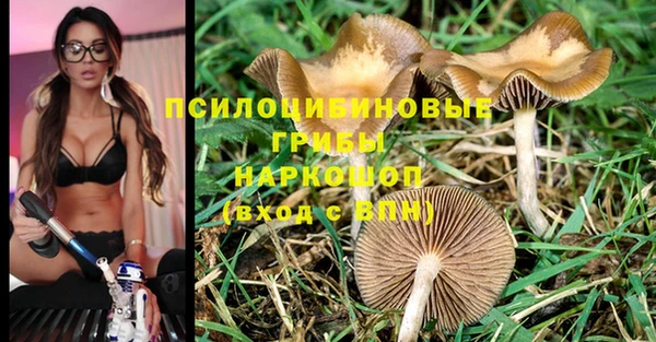 мдма Волоколамск
