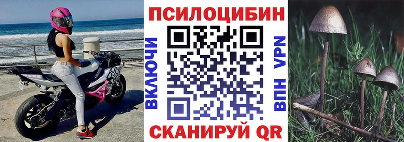 Псилоцибиновые грибы GOLDEN TEACHER  МЕГА зеркало  shop как зайти  купить наркотик  Дюртюли 